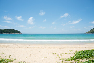 Coconut trees on beach on island blue sky and clouds background..