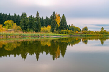 Fototapeta premium Panoramic view of the bright colorful trees along the bank of the Kama River Russia Perm Krai. Autumn colored trees and blue sky, reflected in the calm and shiny water.