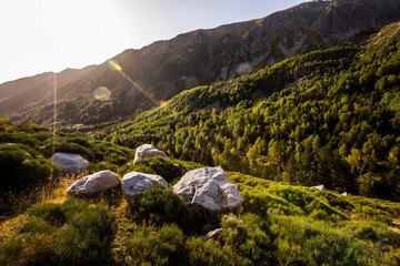 Fototapeta premium Mountain landscape in Campcardos valley, Pyrenees, France