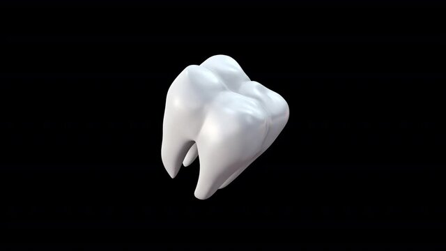 Teeth Pack animation pack with alpha.