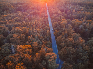Top-down view of a road leading through a forest. Sunset and golden hour. Cars on the road. From above.