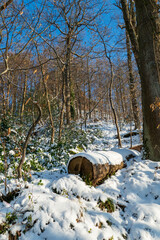 Winterlandschaft in Baden-Baden Ebersteinburg