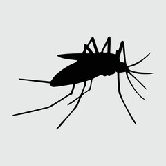 Mosquito Silhouette, Mosquito Isolated On White Background 