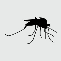 Mosquito Silhouette, Mosquito Isolated On White Background 