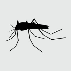 Mosquito Silhouette, Mosquito Isolated On White Background 