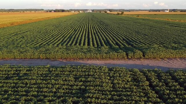 ariel view of a farmers field on a sunny day