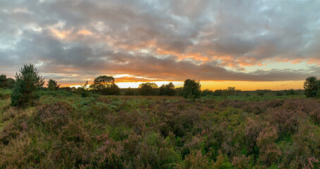 Fototapeta premium sunset over the field