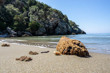 Sandstrand mit einer Muschel und Stein im Hintergrund Felsen uns Wasser