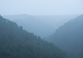 Brumas y lluvia en los bosques del monte Jaizkibel, Euskadi