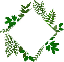 A set of green leaves in the form of a square wreath.