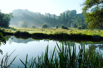 Morning light along the River Wey in Guildford, Surrey, UK