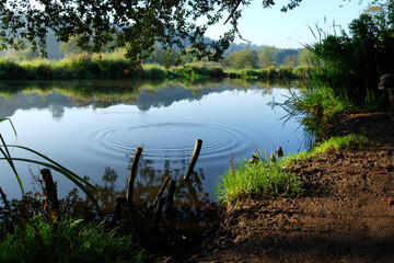 Morning light along the River Wey in Guildford, Surrey, UK