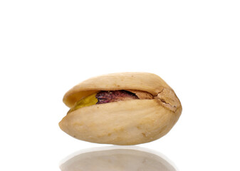 One unpeeled pistachio, close-up, isolated on white.