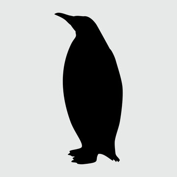 Penguin Silhouette, Penguin Isolated On White Background
