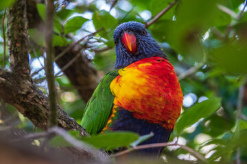 Vogelpark Marlow