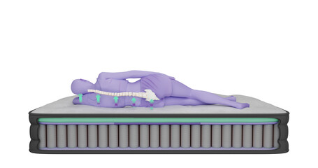 3d illustration rendering of the inner part of the mattress composition, a stylized figure of a woman, a human. The arrows show the effect of mattress support on the spine. - obrazy, fototapety, plakaty