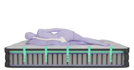 3d illustration rendering of the inner part of the mattress composition a layer of foam, springs, a stylized figure of a woman, a human lies on top. The arrows show the supporting function of the matt - obrazy, fototapety, plakaty