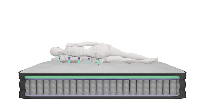 3d animation rendering of the inner part of the mattress composition, a stylized figure of a woman, a human. The arrows show the effect of mattress support on the spine.