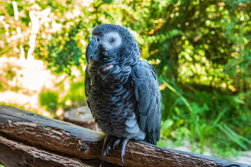 Vogelpark Marlow