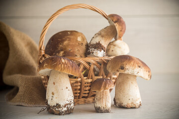 heap of fresh harvested forest mushrooms in basket