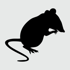 Rat Silhouette, Rat Isolated On White Background