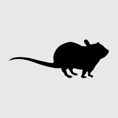 Rat Silhouette, Rat Isolated On White Background