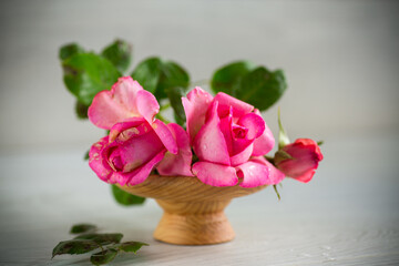 pink beautiful summer roses on wooden table