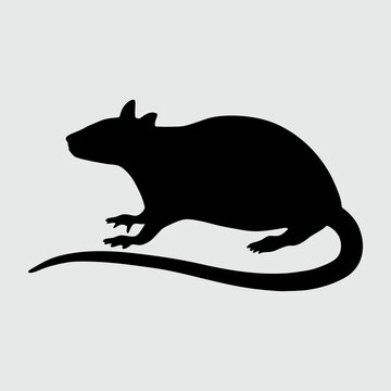 Rat Silhouette, Rat Isolated On White Background