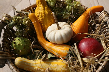 Zierkürbisse in einem Bastkörbchen als Herbstdeko