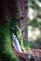 Bouteille en verre contre un arbre - pollution nature