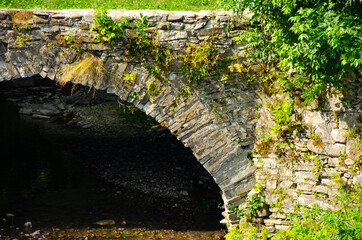 Part of Aqueduct made of stone overgrown with greenery, through a mountain stream in the Carpathian mountains in Ukraine. Symbol of longevity.