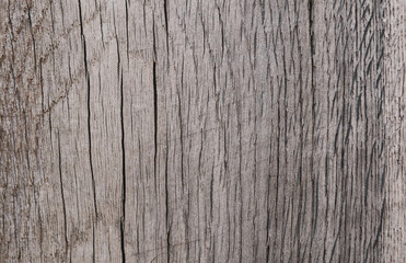 old wood texture