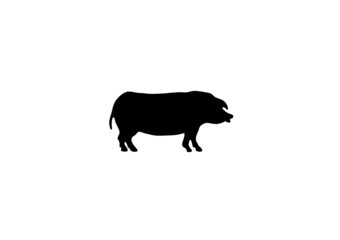 cochon goret