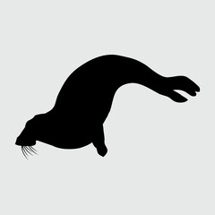 Sea Lion Silhouette, Sea Lion Isolated On White Background