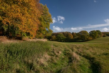 field scene in fall.