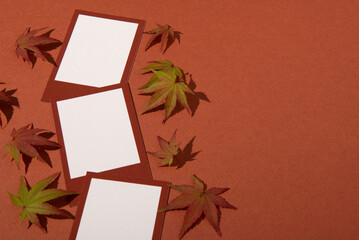 photo frames with leaves on autumn background