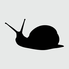 Snail Silhouette, Snail Isolated On White Background