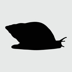 Snail Silhouette, Snail Isolated On White Background