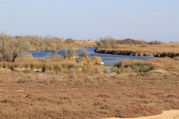 Fototapeta premium Milieu naturel