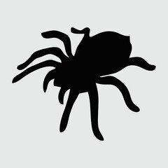 Spider Silhouette, Spider Isolated On White Background