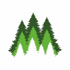 Obraz premium Forest silhouette