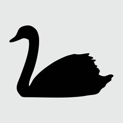 Swan Silhouette, Swan Isolated On White Background