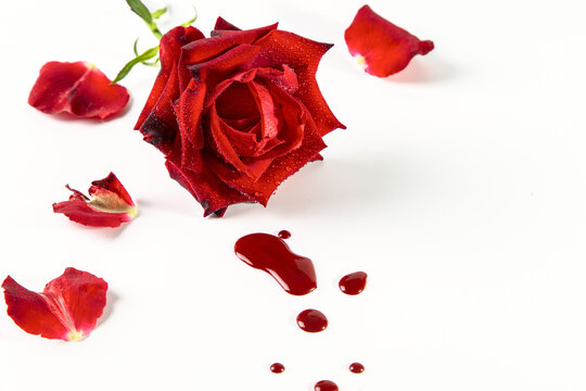 Image with a red rose