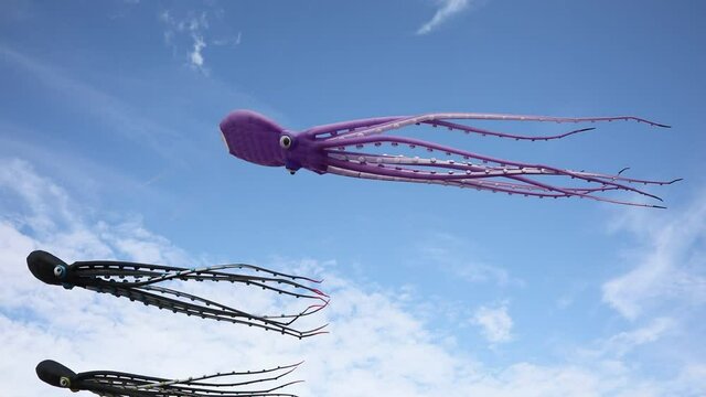 three kites surfing the sky