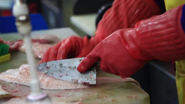 Experienced Fisherman Slicing Fish in Fish Market to cook sashimi, Busan, South korea