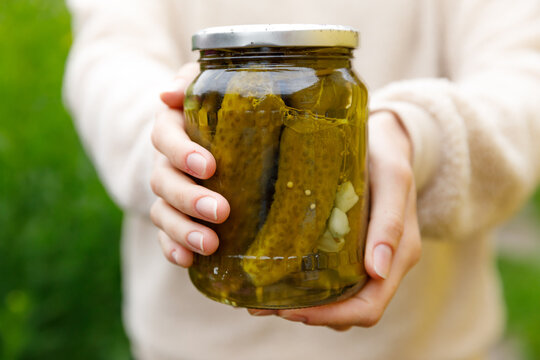 Woman housewife hand holding glass jar of pickled cucumbers. Domestic preparation pickling and canning of vegetables, winter organic food. Healthy fermented homemade food marinated cucumbers in jar.
