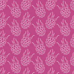 Vector color raspberry berry with leaves