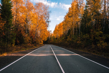 Autumn nature in the forest and a high-speed road that passes between trees with orange foliage.