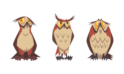 Feathered Owl with Big Yellow Eyes and Sharp Talon in Sitting Pose Vector Set