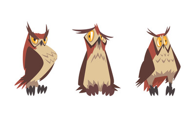 Feathered Owl with Big Yellow Eyes and Sharp Talon in Sitting Pose Vector Set